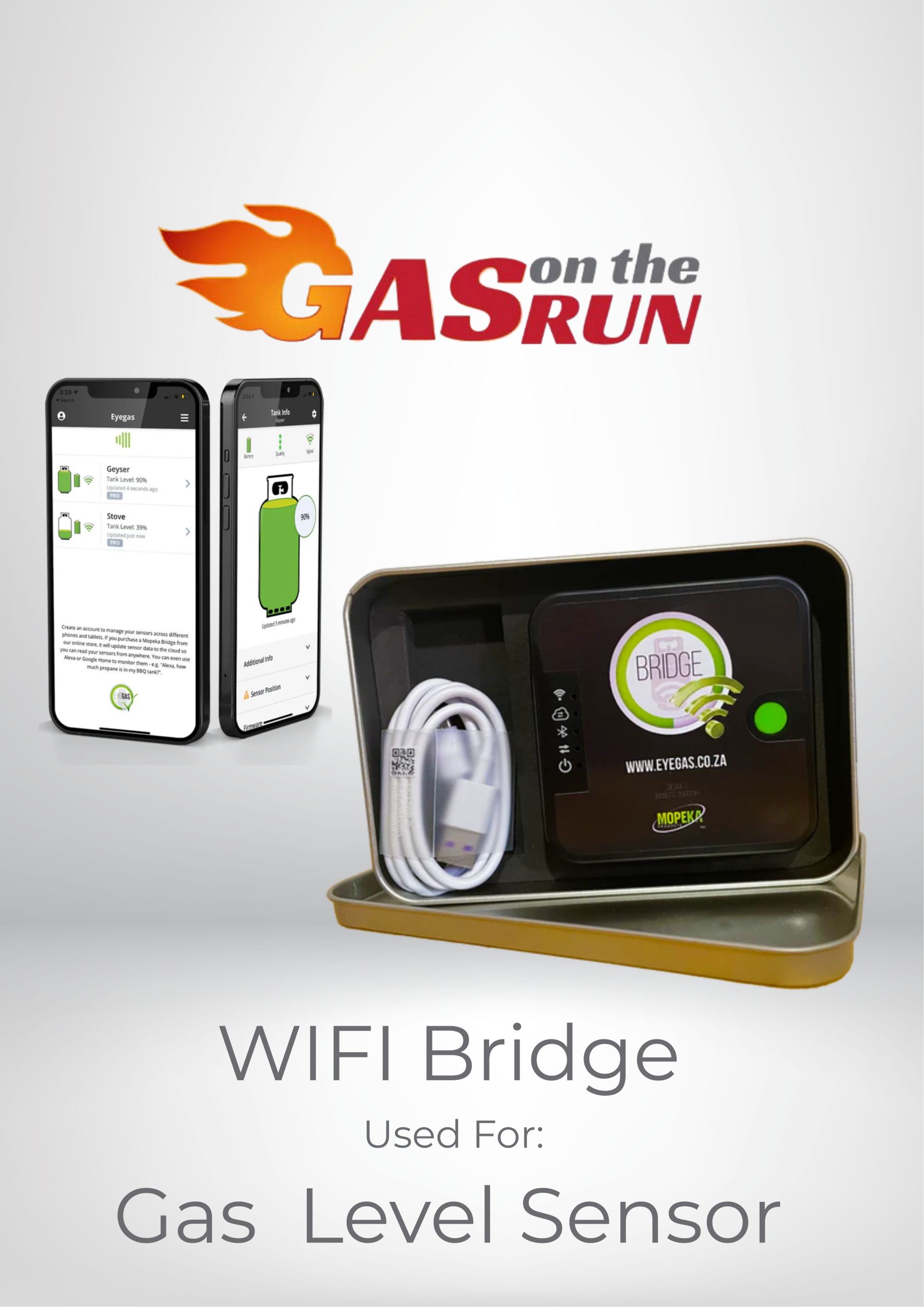 Eyegas WiFi Bridge